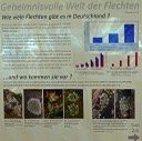 02 Flechten in Deutschland - GS